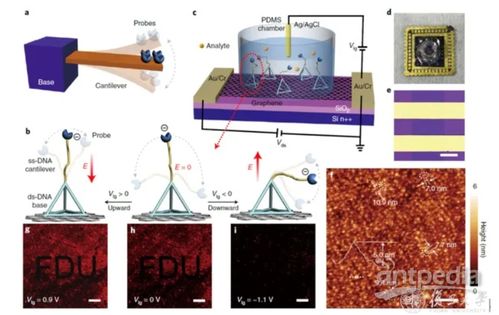 4分鐘內(nèi)出核酸結(jié)果 復(fù)旦大學(xué)如何實(shí)現(xiàn)精準(zhǔn)生物檢測(cè)