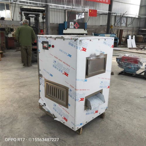 衡陽12 20型芝麻破碎機(jī)工廠直銷